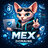 MexDomains