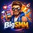 bigsmm